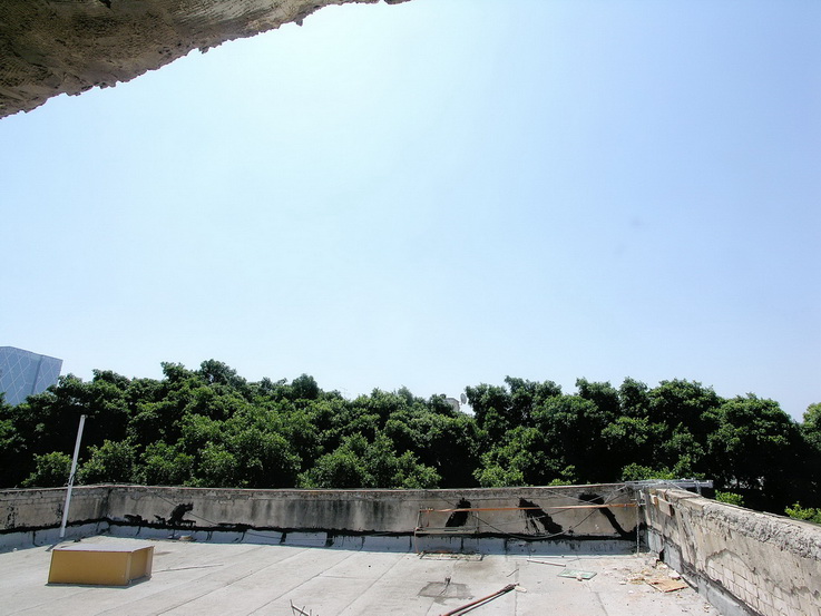 הנוף מהדירה